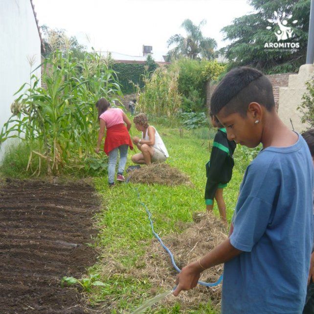 <b>Manos a la tierra.</b> Con la huerta aprenden y producen para el consumo familiar.