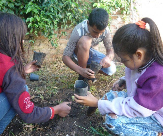 <b>Producción. </b>Aprenden los conocimientos básicos y además producen los plantines.